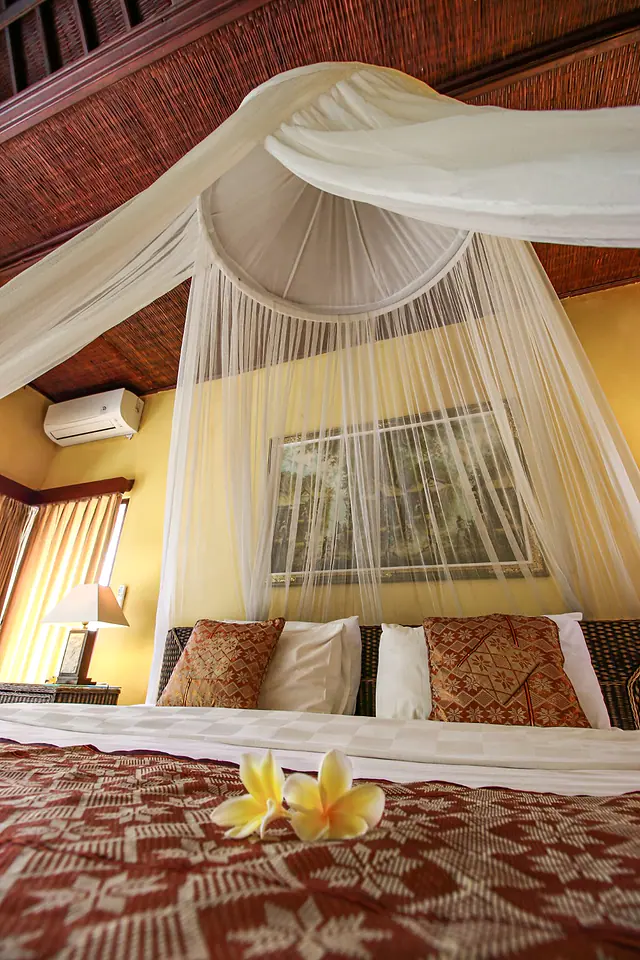 Orchid Suite — photo 3 of 10